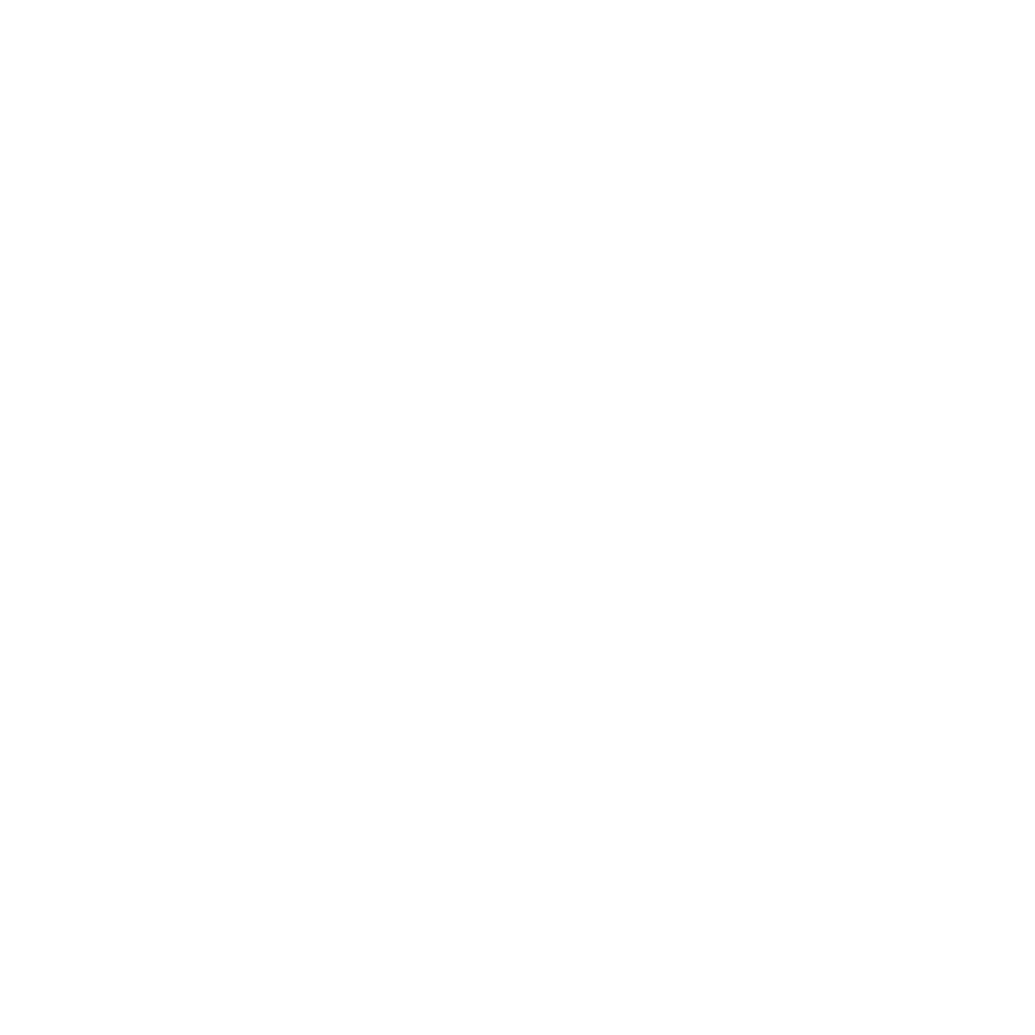 EXPERT INSTRUCTORS